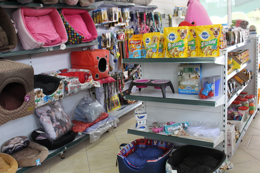 Notre Dame I Pet Shop